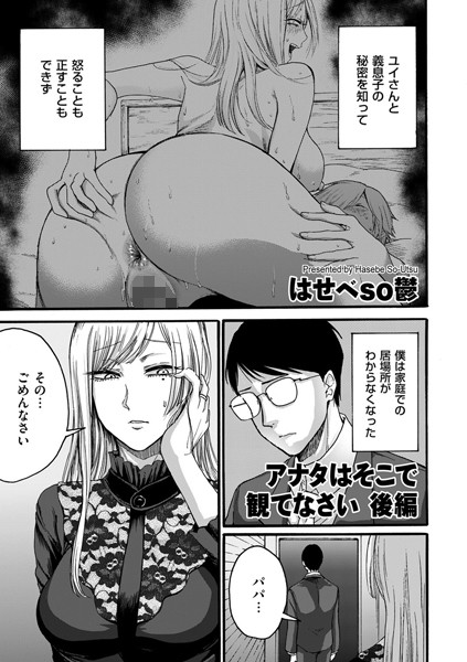B390bleed02717pl