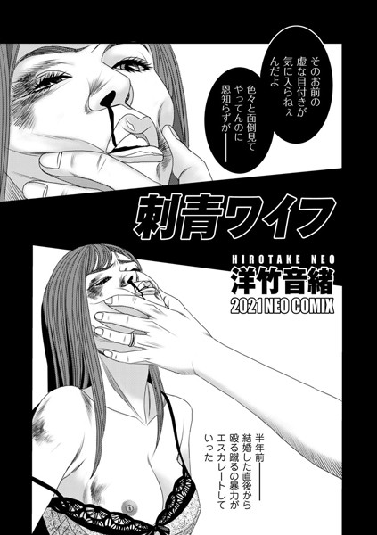 B390bleed02821pl