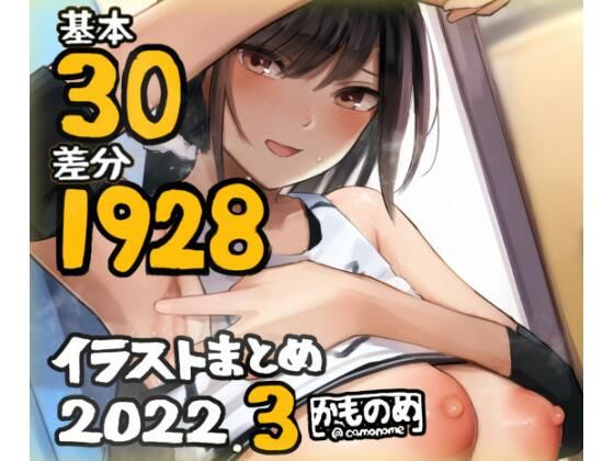 D 228031pl