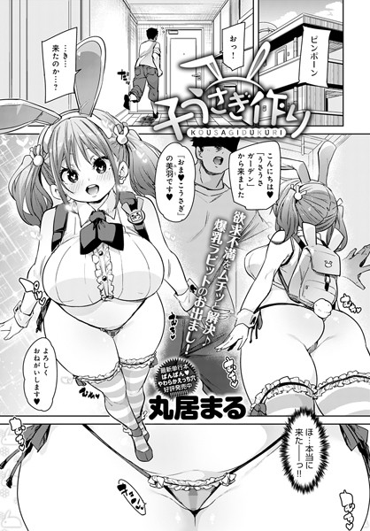 Dmmmg 2401pl
