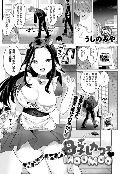 Dmmmg 2704pl