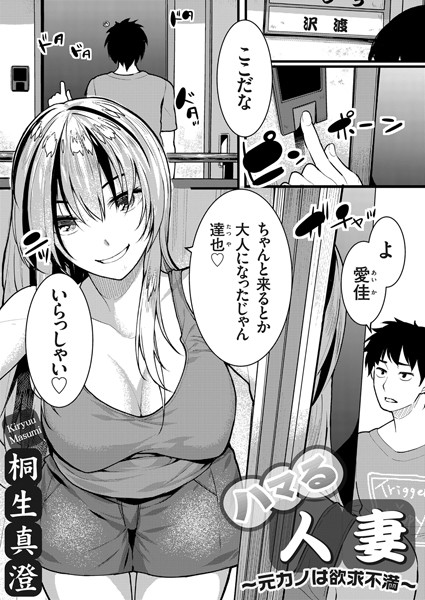 Dmmmg 3336pl