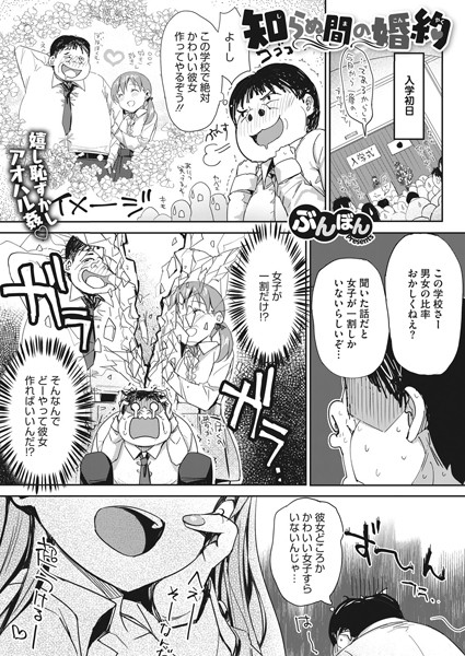 S011akamj00732pl