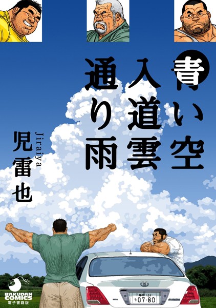 S095amdlt00033pl