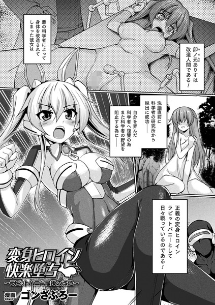 B073bktcm03005pl