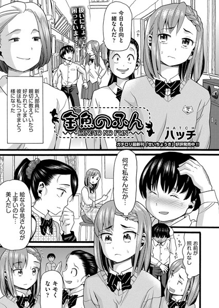 B120ahit01076pl
