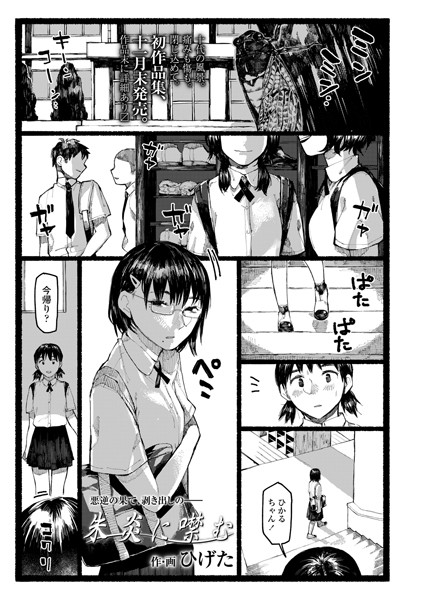 B158aakn01103pl