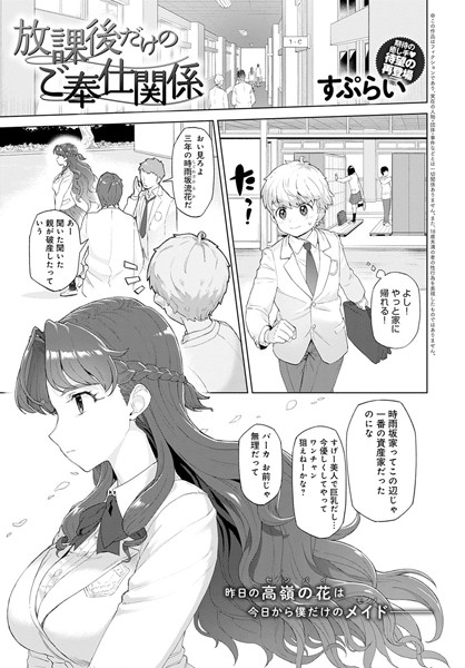 Dmmmg 2082pl