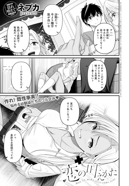 Dmmmg 2165pl