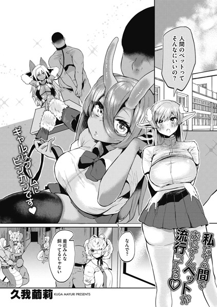 S011akamj00341pl