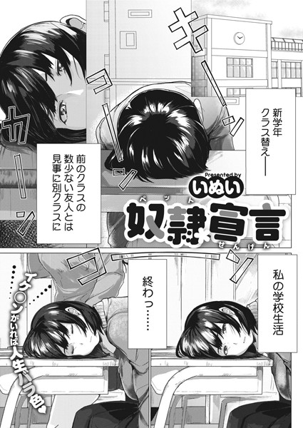 S011akamj00394pl