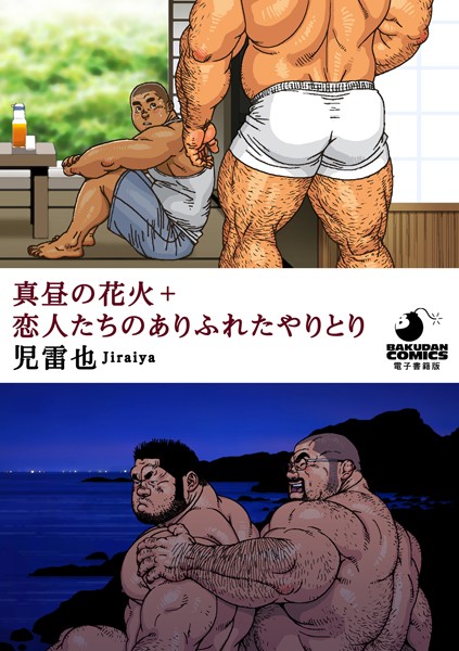 S095amdlt00011pl