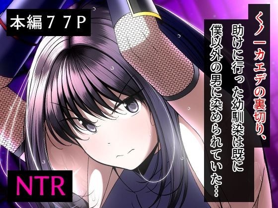 D 260441pl